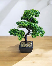 Load image into Gallery viewer, Bonsai Tree Decoration 37cm
