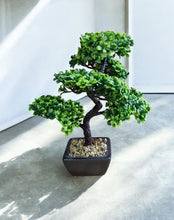 Load image into Gallery viewer, Bonsai Tree Decoration 37cm
