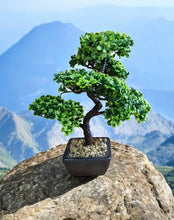 Load image into Gallery viewer, Bonsai Tree Decoration 37cm
