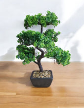 Load image into Gallery viewer, Bonsai Tree Decoration Boxwood 37cm
