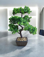 Load image into Gallery viewer, Bonsai Tree Decoration Boxwood 37cm
