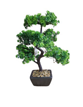 Load image into Gallery viewer, Bonsai Tree Decoration Boxwood 37cm
