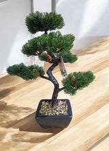 Load image into Gallery viewer, Bonsai Tree Decoration Fir Tree 37cm
