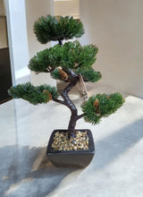 Load image into Gallery viewer, Bonsai Tree Decoration Fir Tree 37cm
