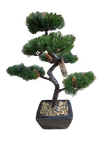 Load image into Gallery viewer, Bonsai Tree Decoration Fir Tree 37cm
