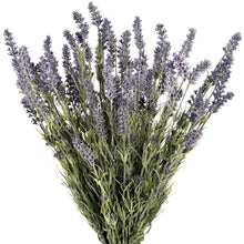 Load image into Gallery viewer, Large Lavender Bush
