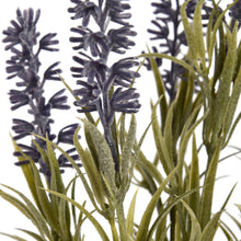 Load image into Gallery viewer, Small Lavender Spray
