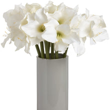 Load image into Gallery viewer, Classic White Amaryllis Flower
