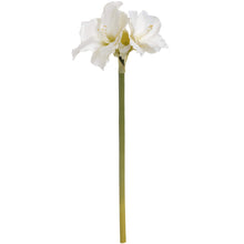 Load image into Gallery viewer, Classic White Amaryllis Flower
