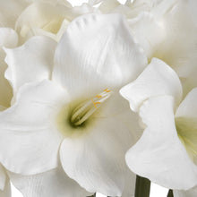 Load image into Gallery viewer, Classic White Amaryllis Flower
