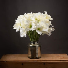 Load image into Gallery viewer, Classic White Amaryllis Flower
