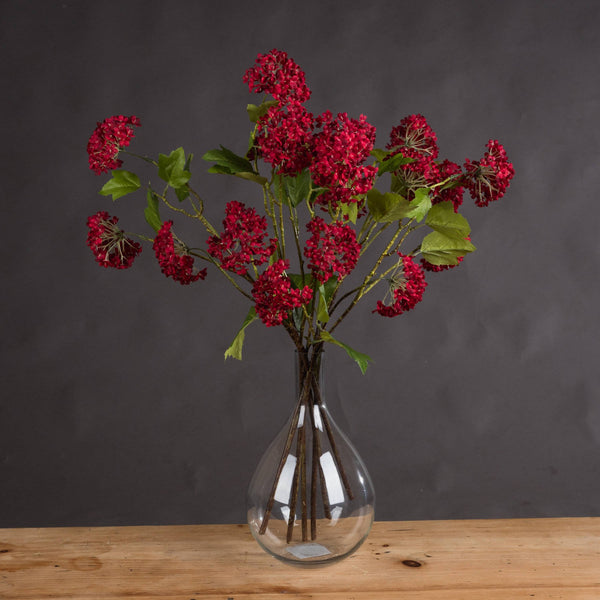 Red Autumnal Viburnum