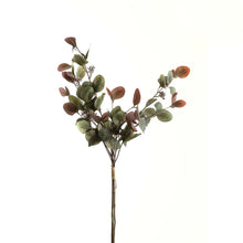 Load image into Gallery viewer, Variegated Eucalyptus Bouquet
