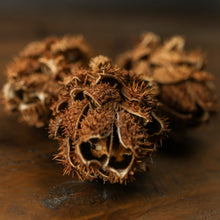 Load image into Gallery viewer, Bouquet Of Dried Protea
