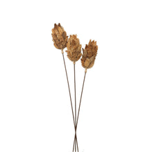 Load image into Gallery viewer, Bouquet Of Dried Protea
