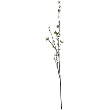 Load image into Gallery viewer, Green Berry Willow Stem
