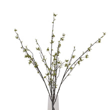 Load image into Gallery viewer, Green Berry Willow Stem
