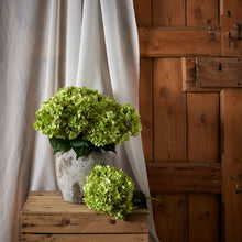 Load image into Gallery viewer, Green Hydrangea Bunch
