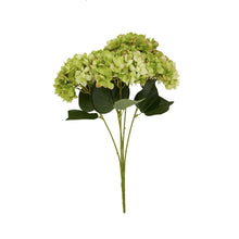 Load image into Gallery viewer, Green Hydrangea Bunch
