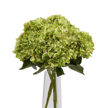 Load image into Gallery viewer, Green Hydrangea Bunch
