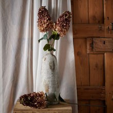 Load image into Gallery viewer, Burgundy Spear Hydrangea
