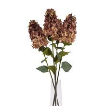 Load image into Gallery viewer, Burgundy Spear Hydrangea
