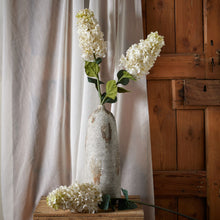 Load image into Gallery viewer, White  Spear Hydrangea
