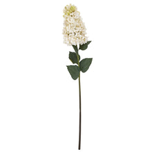 Load image into Gallery viewer, White  Spear Hydrangea
