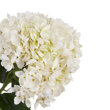 Load image into Gallery viewer, White Hydrangea Stem
