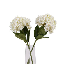 Load image into Gallery viewer, White Hydrangea Stem
