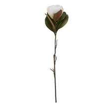 Load image into Gallery viewer, White Magnolia Stem
