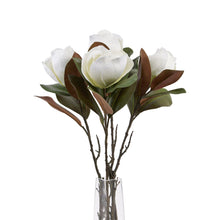 Load image into Gallery viewer, White Magnolia Stem
