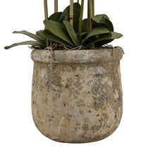 Load image into Gallery viewer, Large White Orchid In Antique Stone Pot
