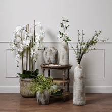 Load image into Gallery viewer, Large White Orchid In Antique Stone Pot
