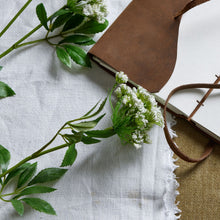 Load image into Gallery viewer, Faux White Cow Parsley Ammi
