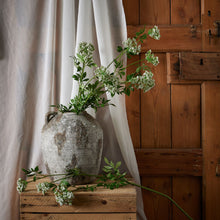 Load image into Gallery viewer, Faux White Cow Parsley Ammi
