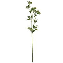 Load image into Gallery viewer, Faux White Cow Parsley Ammi
