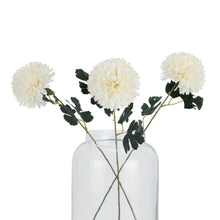 Load image into Gallery viewer, White Chrysanthemum Stem
