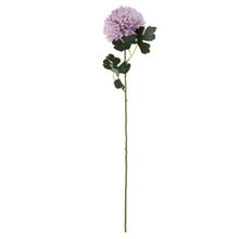 Load image into Gallery viewer, Light Purple Chrysanthemum
