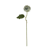 Load image into Gallery viewer, Pale Green Blue Short Chrysanthemum
