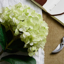 Load image into Gallery viewer, Oversized Green Hydrangea
