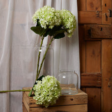 Load image into Gallery viewer, Oversized Green Hydrangea
