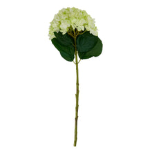 Load image into Gallery viewer, Oversized Green Hydrangea
