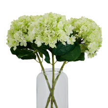 Load image into Gallery viewer, Oversized Green Hydrangea
