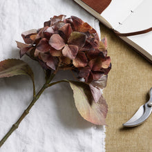 Load image into Gallery viewer, Mixed Autumn Browns Single Hydrangea Stem
