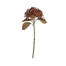 Load image into Gallery viewer, Mixed Autumn Browns Single Hydrangea Stem
