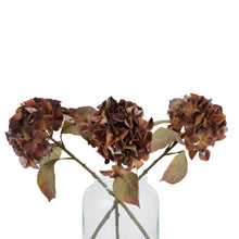 Load image into Gallery viewer, Mixed Autumn Browns Single Hydrangea Stem
