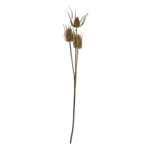 Load image into Gallery viewer, Large Brown Triple Teasle Stem
