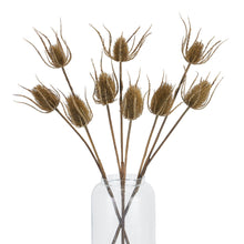 Load image into Gallery viewer, Large Brown Triple Teasle Stem
