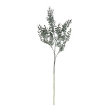 Load image into Gallery viewer, Blackened Grass Spray Stem
